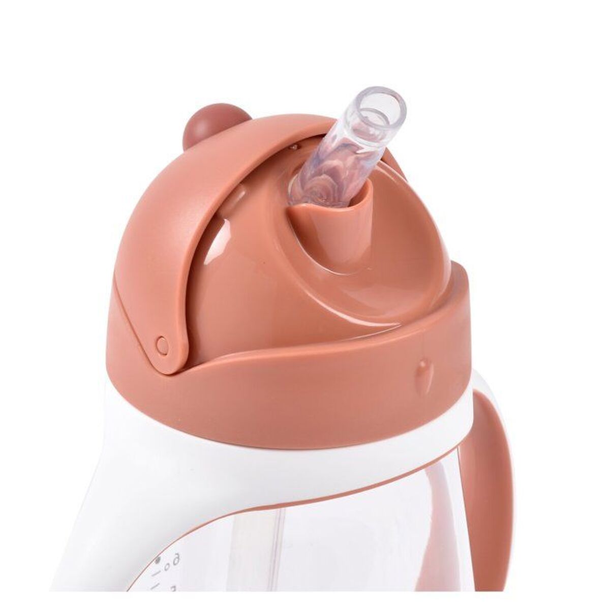 Béaba Övningskoppen Béaba Terrakota N 300 Ml